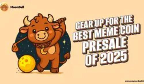 Bonk与MoonBull引领2025年Meme币热潮，市场趋势与投资机遇解析