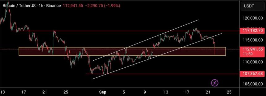 BTC价格在11.4万美元至11.8万美元之间波动，供应量达到10万美元以上