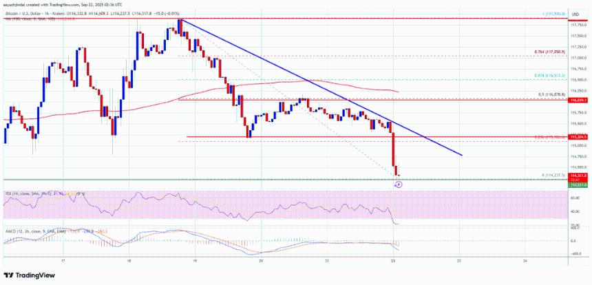比特币价格再次回落——这只是一次健康的下跌吗？