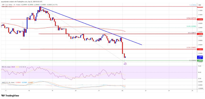 XRP价格跌破3美元——这会引发更大的看跌浪潮吗？