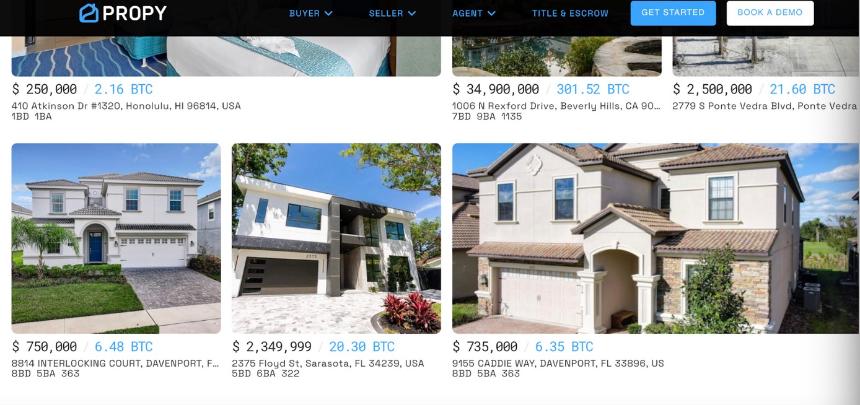 2025加密货币消费新趋势：从豪宅到永生的奢华清单