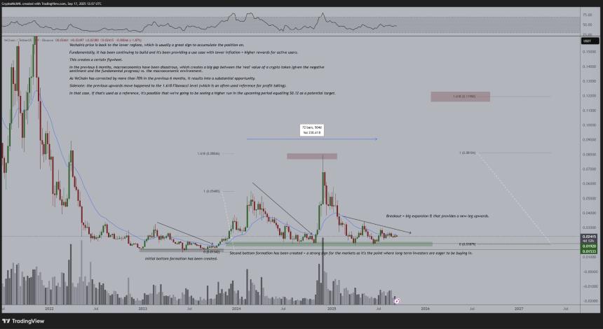  分析师 Michaël van de Poppe 表示，基于以太坊的山寨币是加密货币领域“最佳配置之一”，并更新了 VET 和 W 的前景 