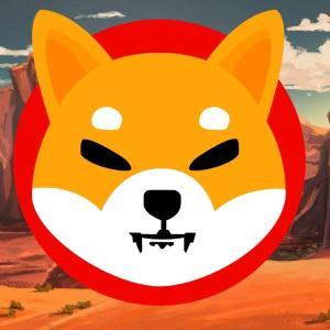 SHIB桥漏洞致230万美元损失 开发者承认结构性缺陷