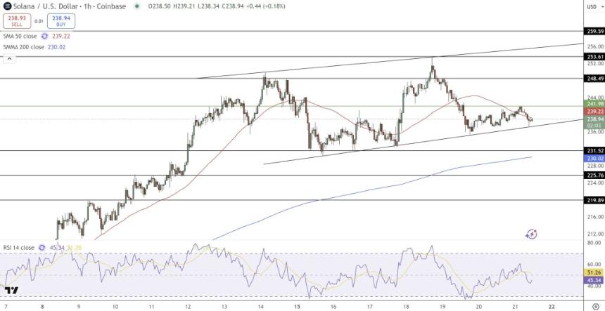  Solana 蓄势待发——SOL 能否很快达到 310 美元？ 