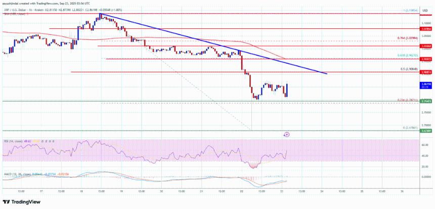 XRP价格反弹受阻——关键技术面暗示未来上涨空间有限