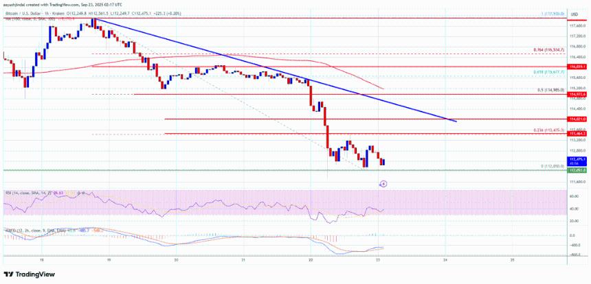 比特币跌破115,000美元：加密市场或将迎来恐慌性抛售？