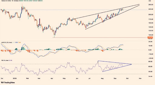 312,233 SOL 存入 Coinbase 后，Solana 面临致命抛售压力——这就是价值
