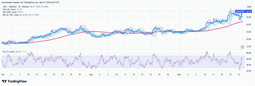 Avalanche Crypto能否成为下一个加密货币市场焦点？