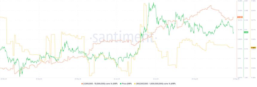 XRP 供应分布 | 来源：Santiment