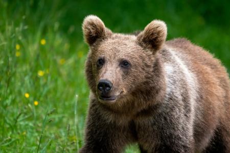 比特币波动加剧：周线回落至11.3万美元，市场情绪降温