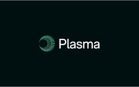 Plasma FDN上线在即：稳定币公链赛道谁主沉浮？