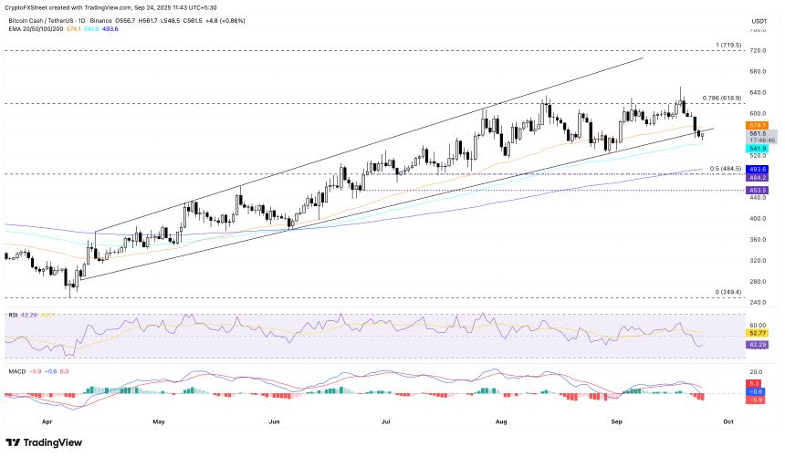 比特币现金价格预测：随着未平仓合约和鲸鱼持仓量下降，下行风险加大