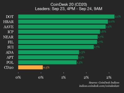 比特币波动加剧：CoinDesk 20指数上涨0.5%，DOT领涨市场