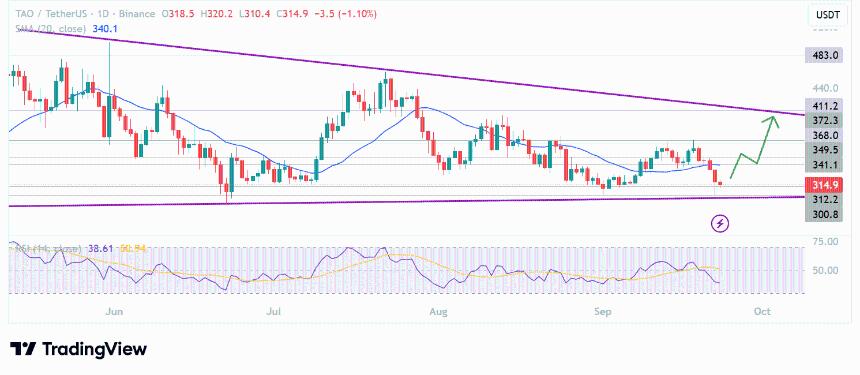  特朗普推动人工智能发展，推动 DeAI 叙事，Bittensor 的 TAO Crypto 准备突围 