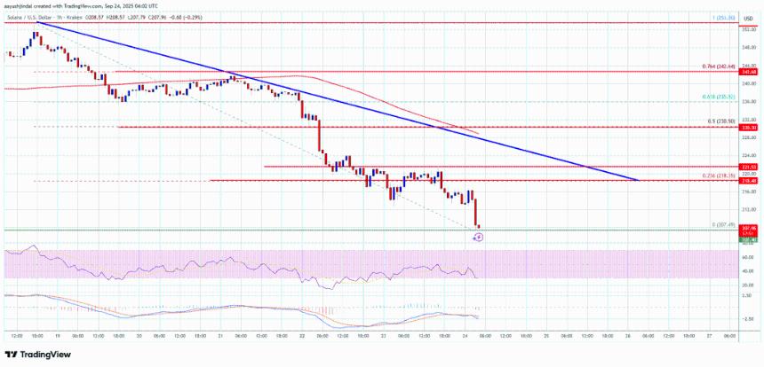 Solana（SOL）跌破关键支撑位，200美元大关岌岌可危？
