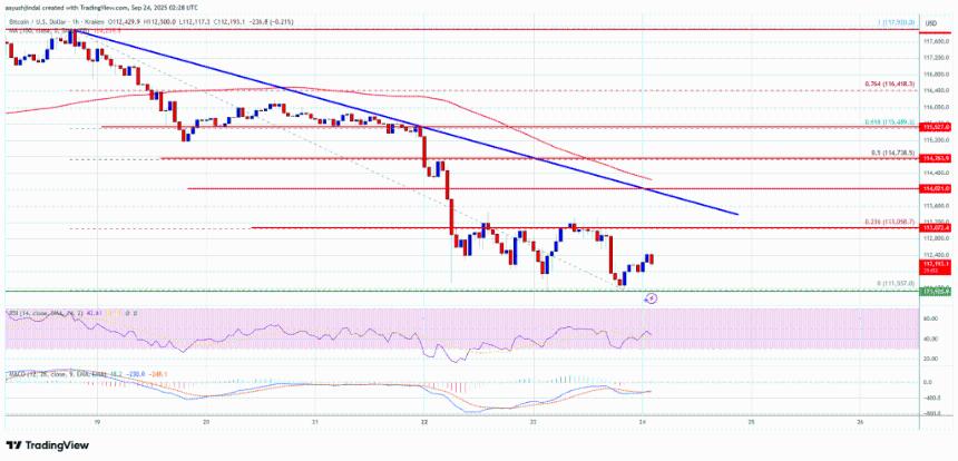 比特币价格承压于关键阻力位，多头能否扭转局势？