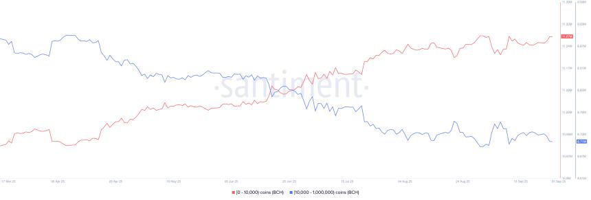 比特币现金价格预测：随着未平仓合约和鲸鱼持仓量下降，下行风险加大