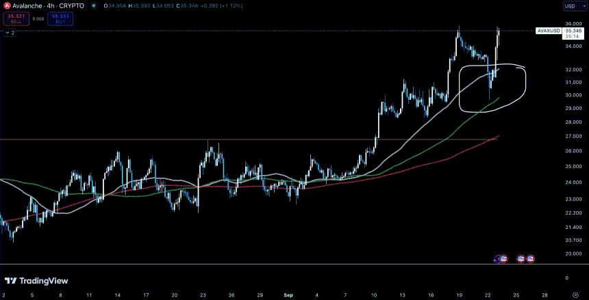 AVAX的新ATH：Avalanche能否在本次牛市中上涨350%？