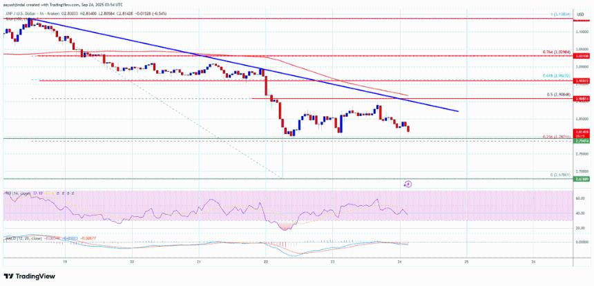 XRP价格承压下行 面临进一步下跌风险