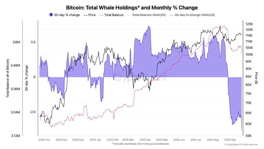 比特币巨鲸自8月以来抛售147,000 BTC，创下本轮抛售速度最快纪录