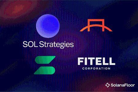 上市公司加速布局Solana生态，数字资产财务战略成新趋势