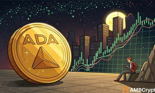 卡尔达诺资金外流引爆看涨情绪，0.805美元支撑位成关键