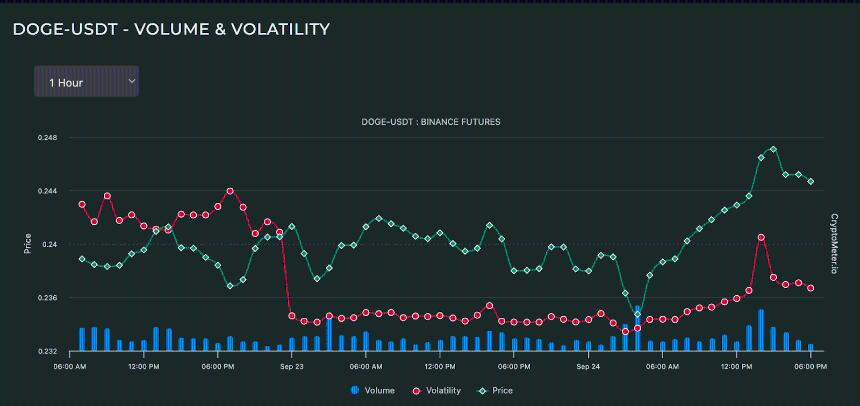 狗狗币价格预测：10月能否突破0.30美元大关？