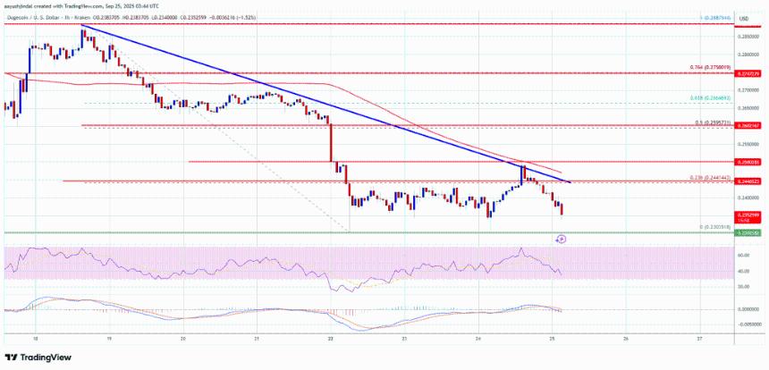 狗狗币（DOGE）再次陷入困境——市场是否准备再次大幅下跌？