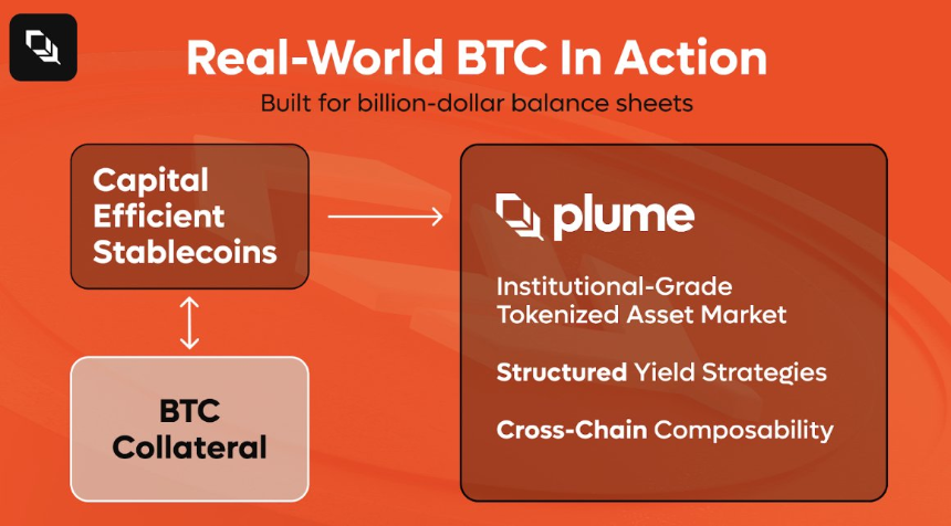 Plume深度解读：RWA赛道的“黑马”如何迅速崛起？
