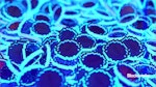 比特币波动加剧，以太坊L2与新代币成市场新焦点