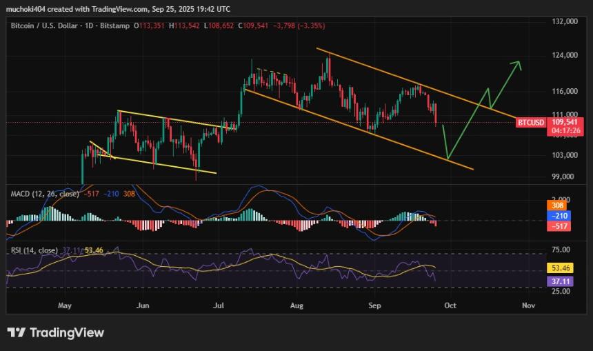  加密货币市场今日为何下跌？多头清算总额突破11亿美元 