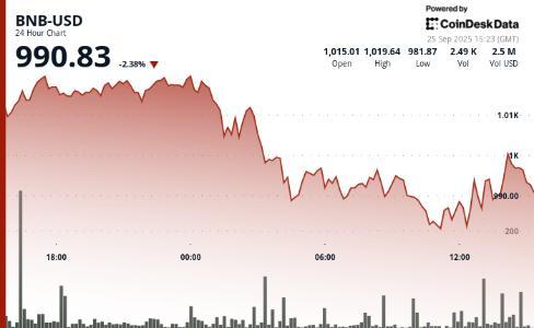 BNB价格跌破1000美元，链上动态与技术升级引关注