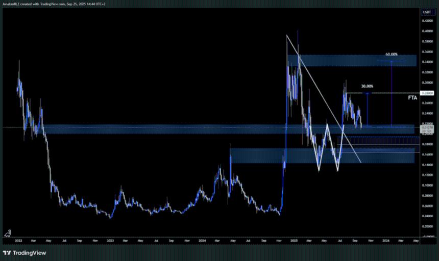  PrimeXBT：2025 年值得关注的 5 大山寨币 