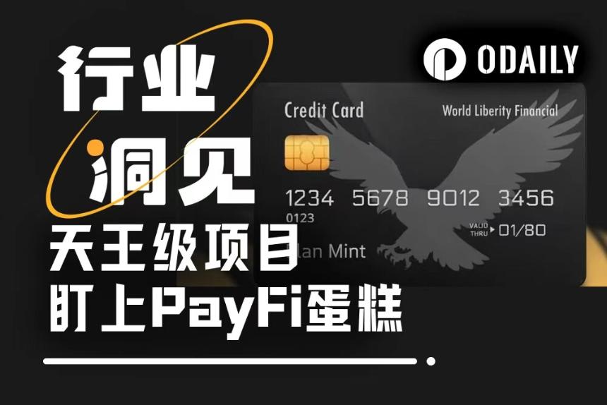 支付领域的终极较量：Plasma与WLFI竞相布局PayFi借记卡，争夺稳定币支付市场主导权