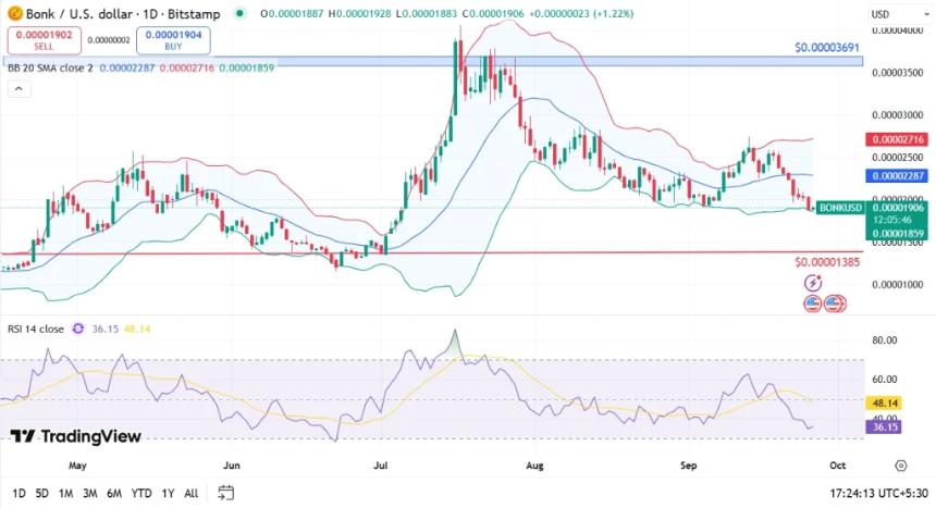  加密货币市场崩盘：现在值得购买的顶级 Memecoin 