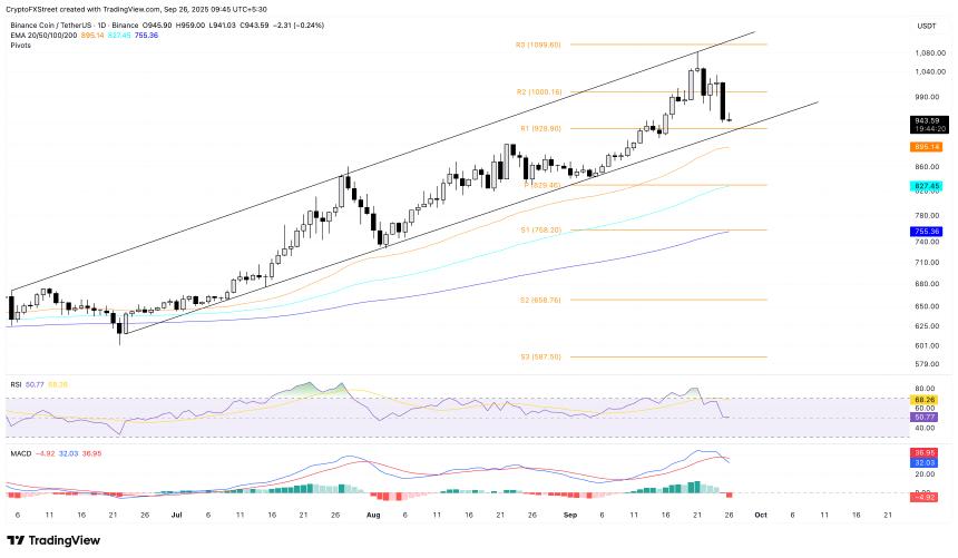 BNB价格分析：市场抛售加剧，或面临进一步下行风险