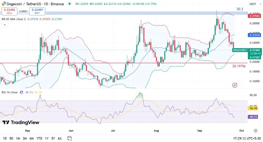  加密货币市场崩盘：现在值得购买的顶级 Memecoin 