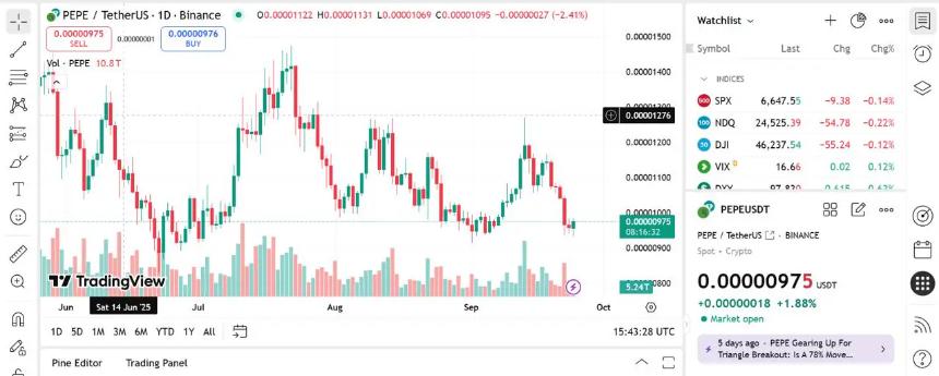 Pepe Coin价格预测与Shiba Inu最新动态：第四季度如何实现1,000美元到40,000美元的投资目标