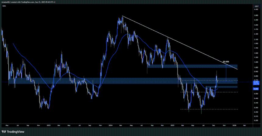  PrimeXBT：2025 年值得关注的 5 大山寨币 