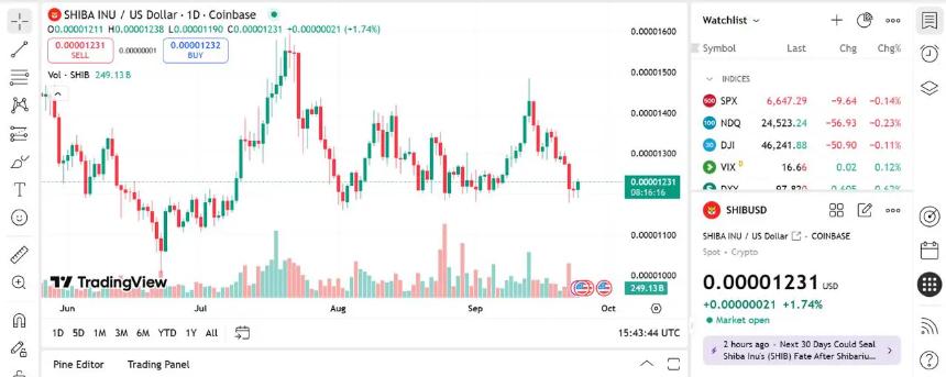 Pepe Coin价格预测与Shiba Inu最新动态：第四季度如何实现1,000美元到40,000美元的投资目标