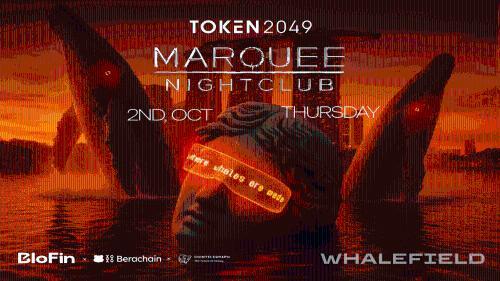 比特币跌破8.6万美元 市场波动加剧机构逆势增持