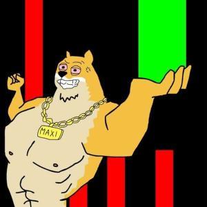 MAXI代币逆势募资250万美元：模因币热潮再起，比特币波动中寻新机遇