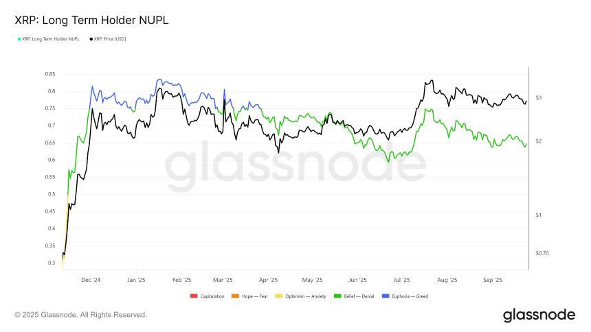  钻石之手：XRP 持有者与熊市抗衡，但并未撼动熊市 