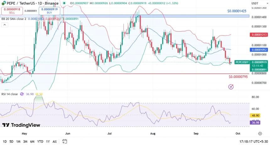  加密货币市场崩盘：现在值得购买的顶级 Memecoin 