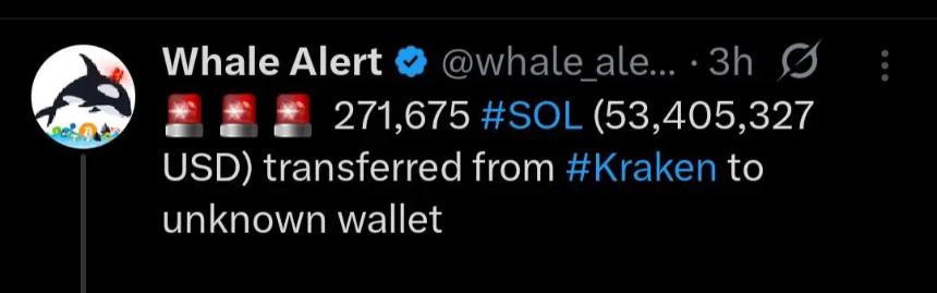 Solana价格预测：SOL能否突破350美元？持有者面临抉择