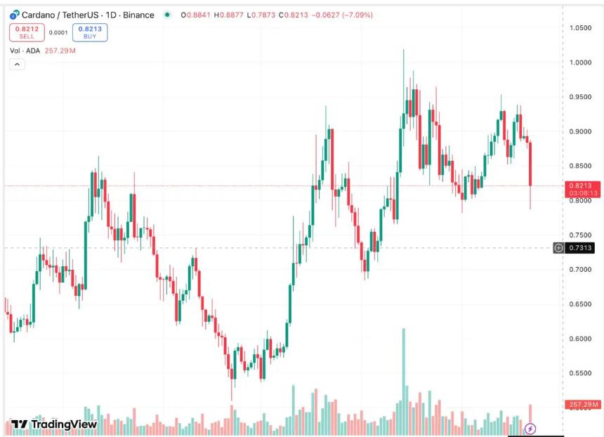 Cardano 和 Chainlink 的关键价格水平