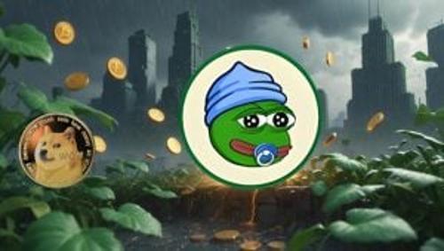 LILPEPE预售破2594万 突破0.003美元或冲3美元