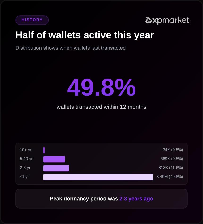 XRP Ledger Wallet Activity XPMarket
