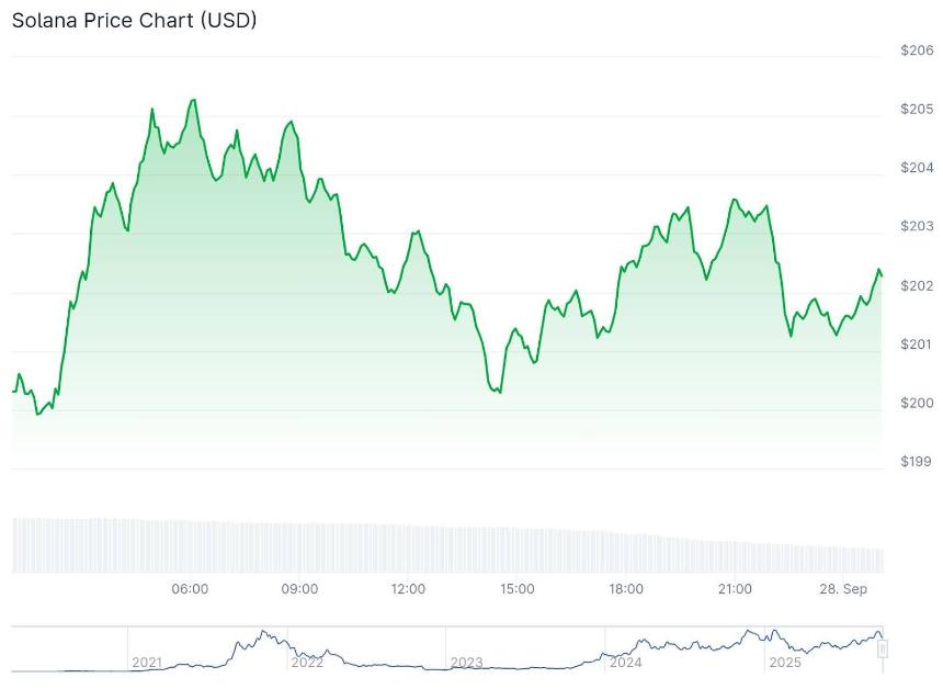 专家预测 Solana ETF 即将获批，价格走势或成熊市陷阱
