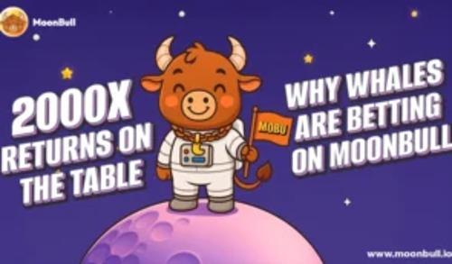 MoonBull预售引爆！2025年最值得关注的Meme币三大新星